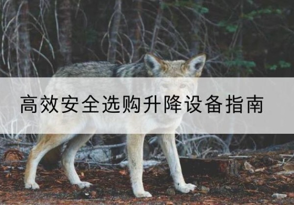 和顺升降货梯厂家推荐-*安全选购升降设备指南