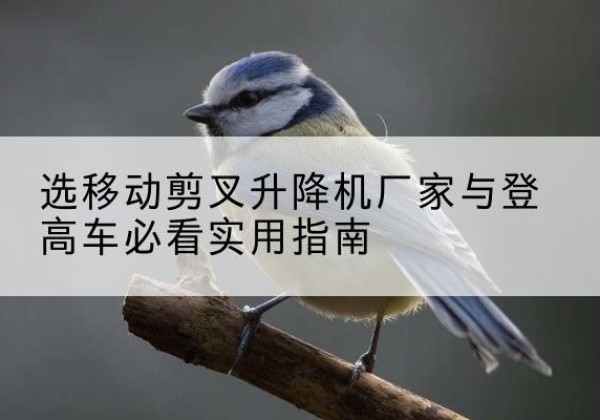 和顺电动升降机厂家-选移动剪叉升降机厂家与登高车必看实用指南