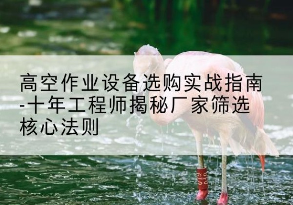 和顺剪叉式升降机厂家-高空作业设备选购实战指南-十年工程师揭秘厂家筛选核心法则